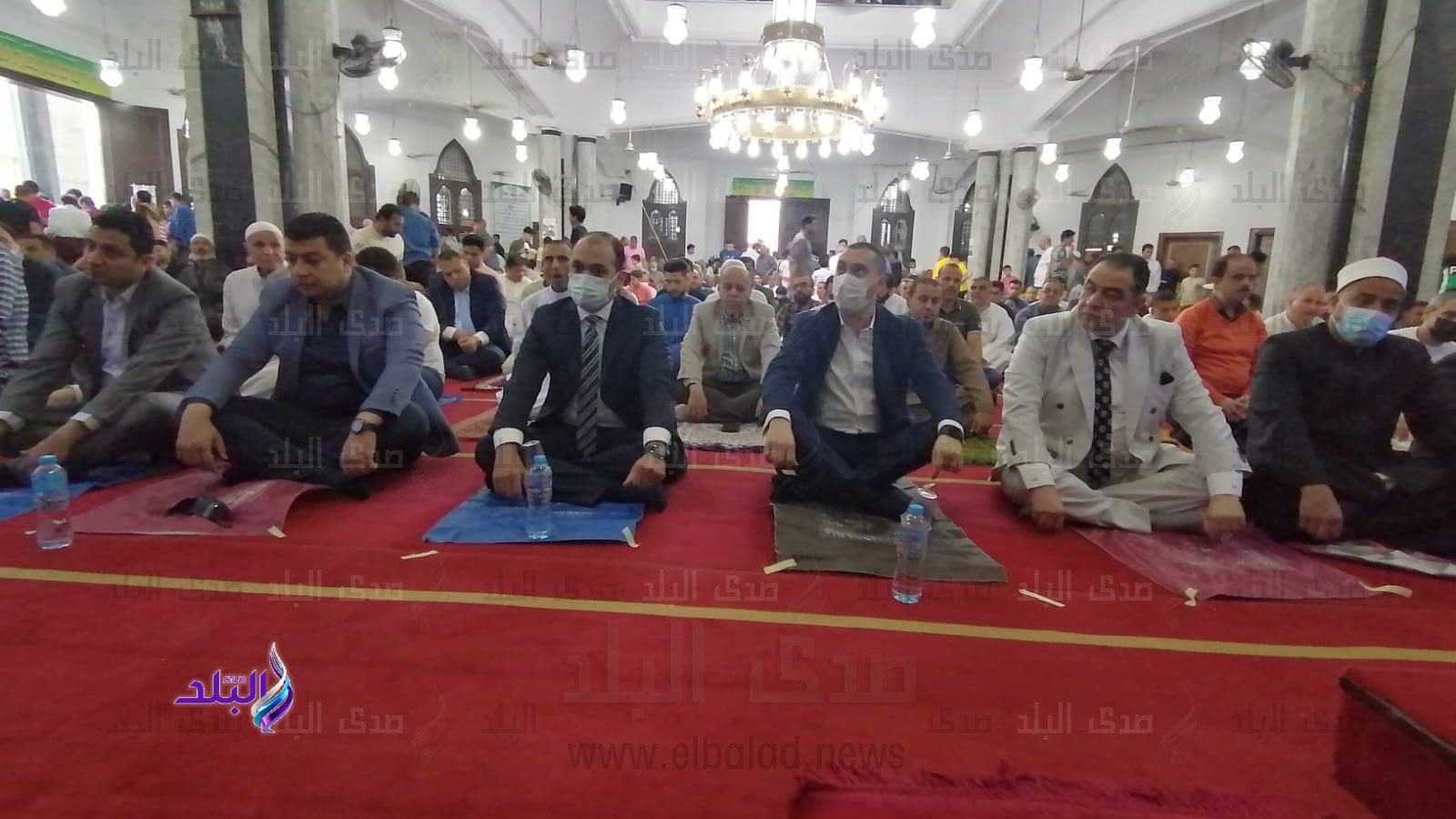 نائب محافظ كفر الشيخ