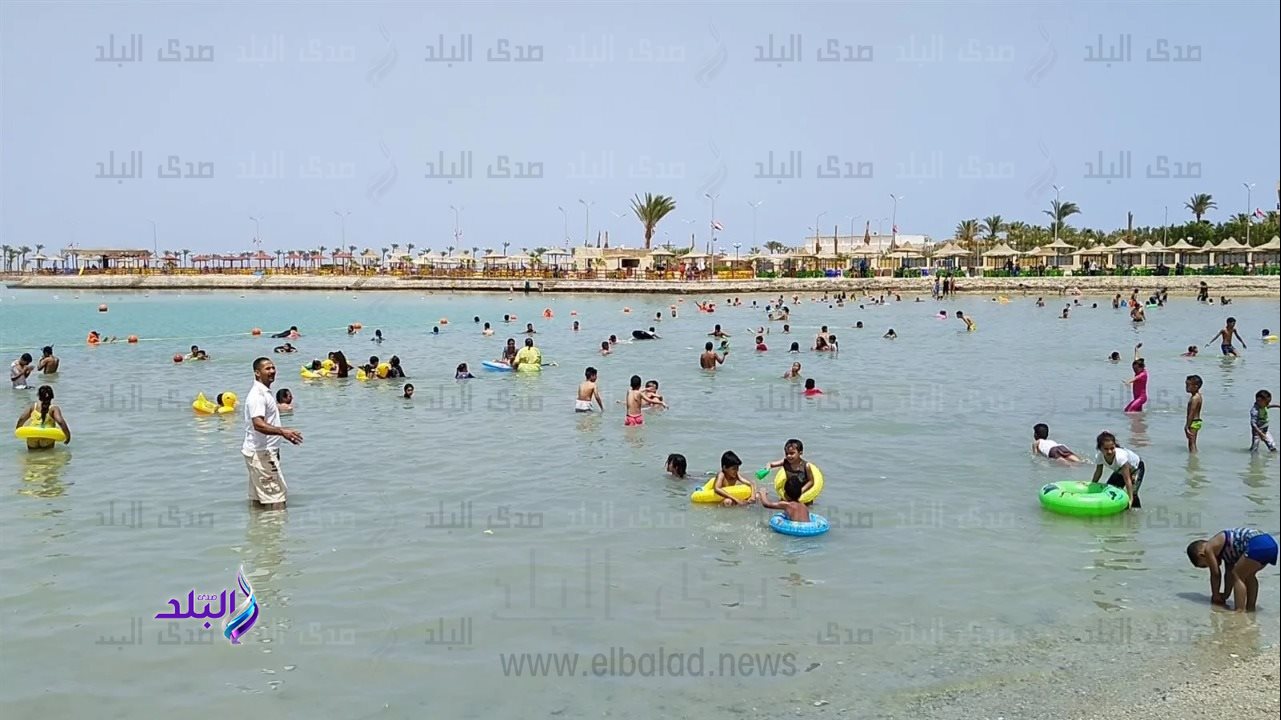 صوره موضوعية