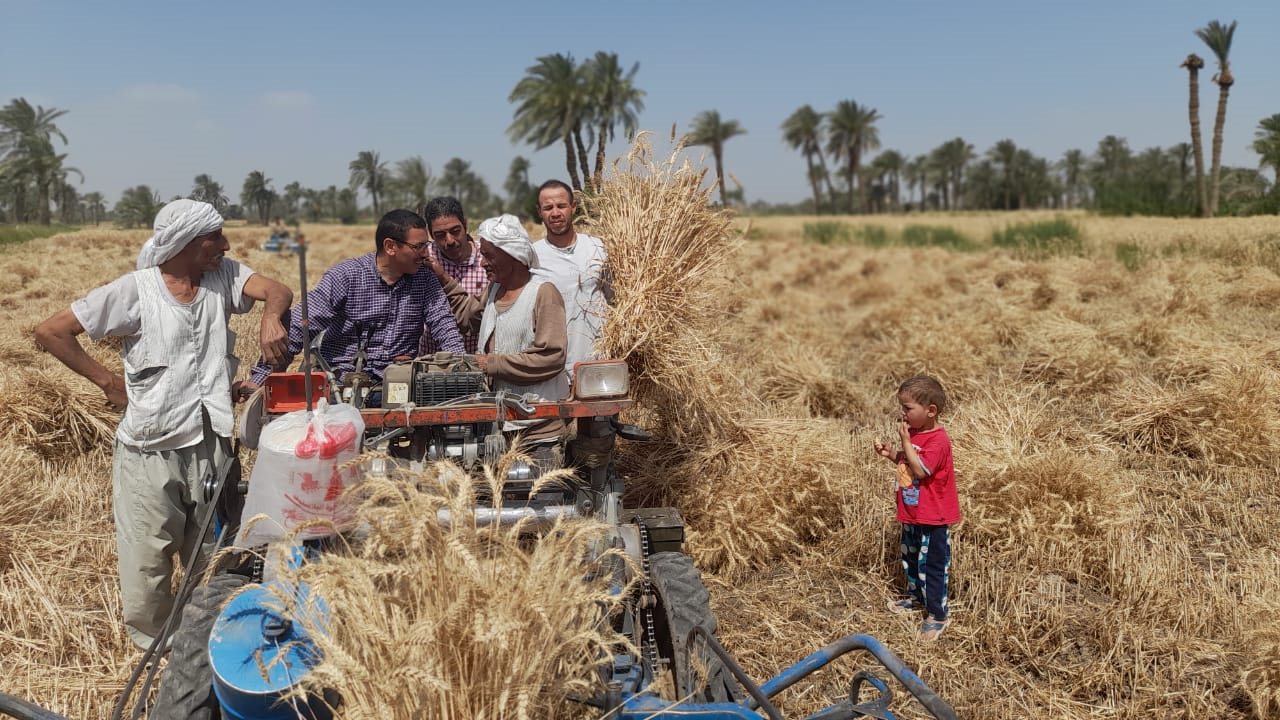 اللجان الزراعية أثناء العمل