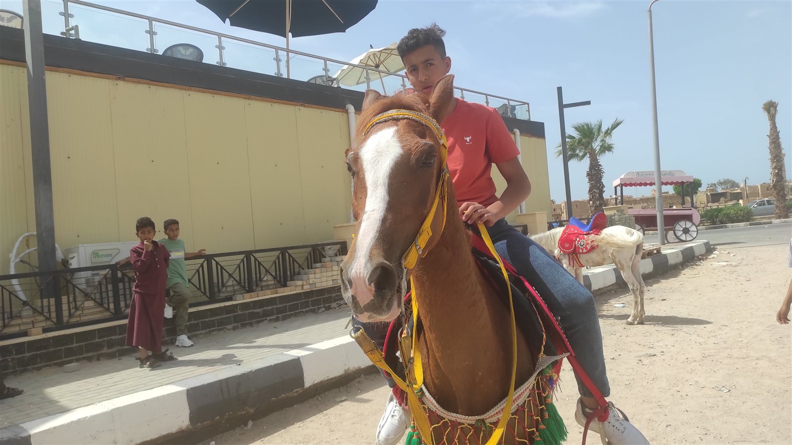 الخيول تجذب الاطفال 