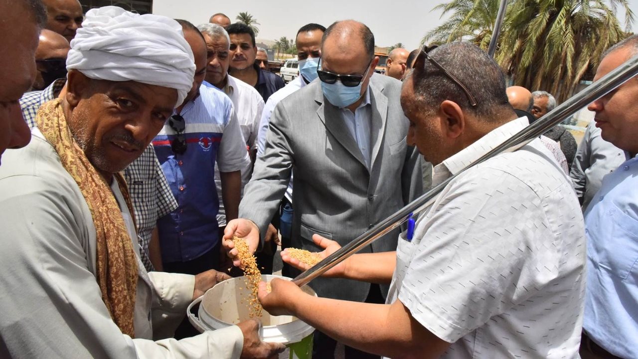 محافظ أسيوط يتابع توريد محصول القمح بمطاحن مصر الوسطى