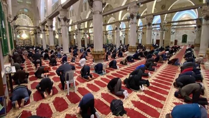 المساجد 