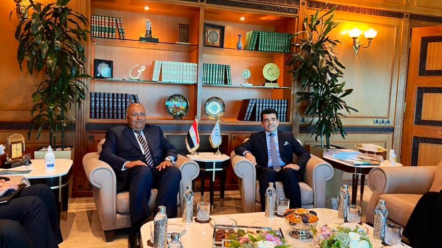 لقاء الوزير شكري ومدير عام الايسيسكو