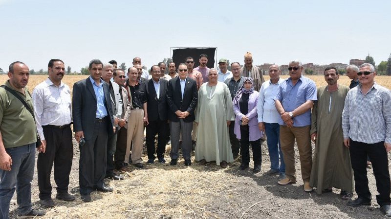 محافظ الشرقية