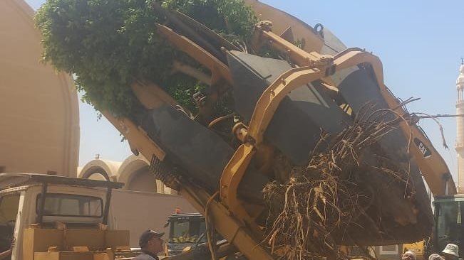 محافظة القاهرة تعلن إطلاق أول آلة لنقل الأشجار الكبيرة