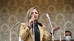  النائبة مي رشدي، عضو مجلس النواب