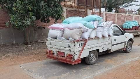 قمح
