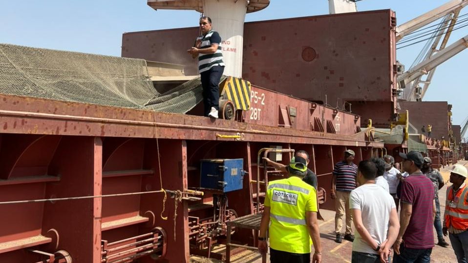 مركب قمح من الهند
