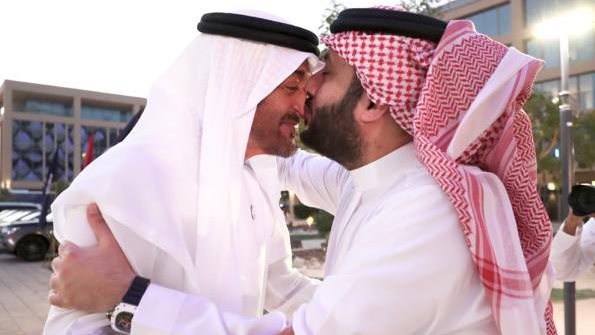 بن زايد وتركي