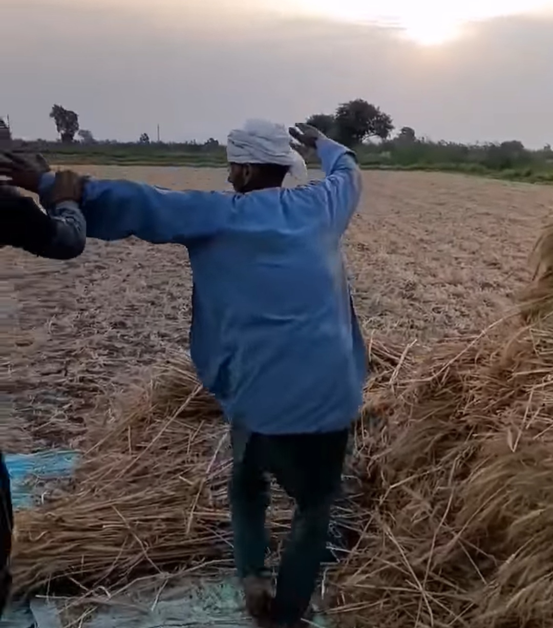 IMG_٢٠٢٢٠٥١٤_١٩٢١٤٦