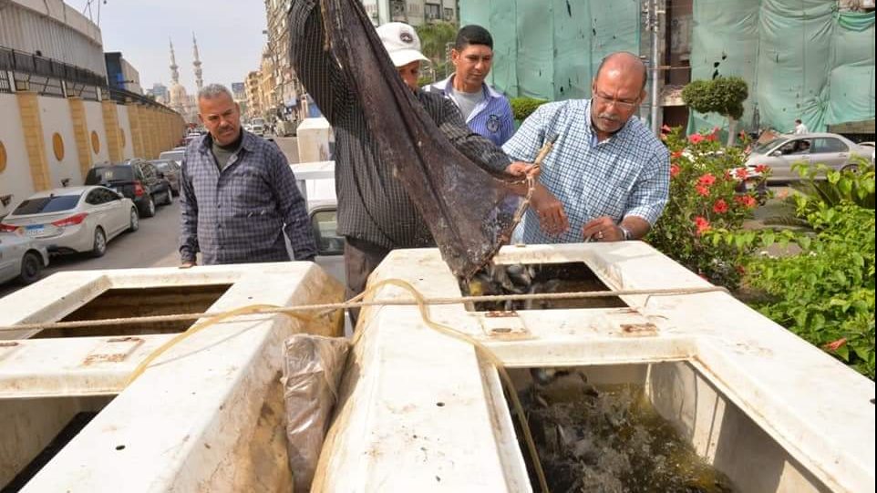 تدشين للثروة السمكية