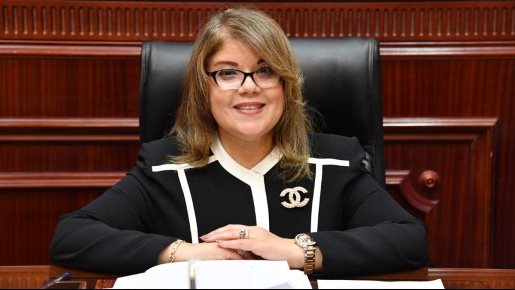 فيبي فوزي  ، وكيل مجلس الشيوخ