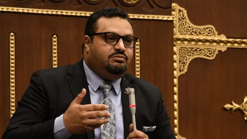 النائب أحمد القناوي
