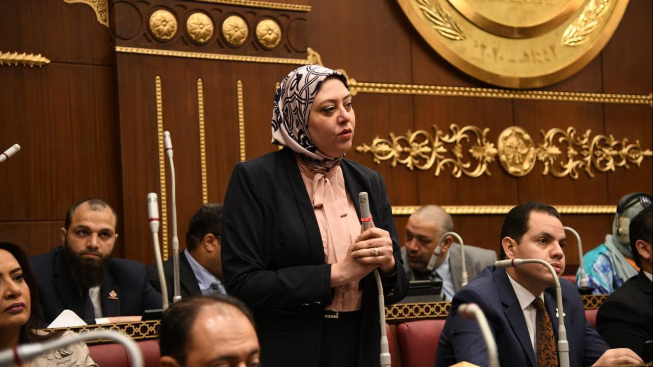  النائبة نهي زكي، عضو مجلس الشيوخ عن تنسيقية شباب الأحزاب