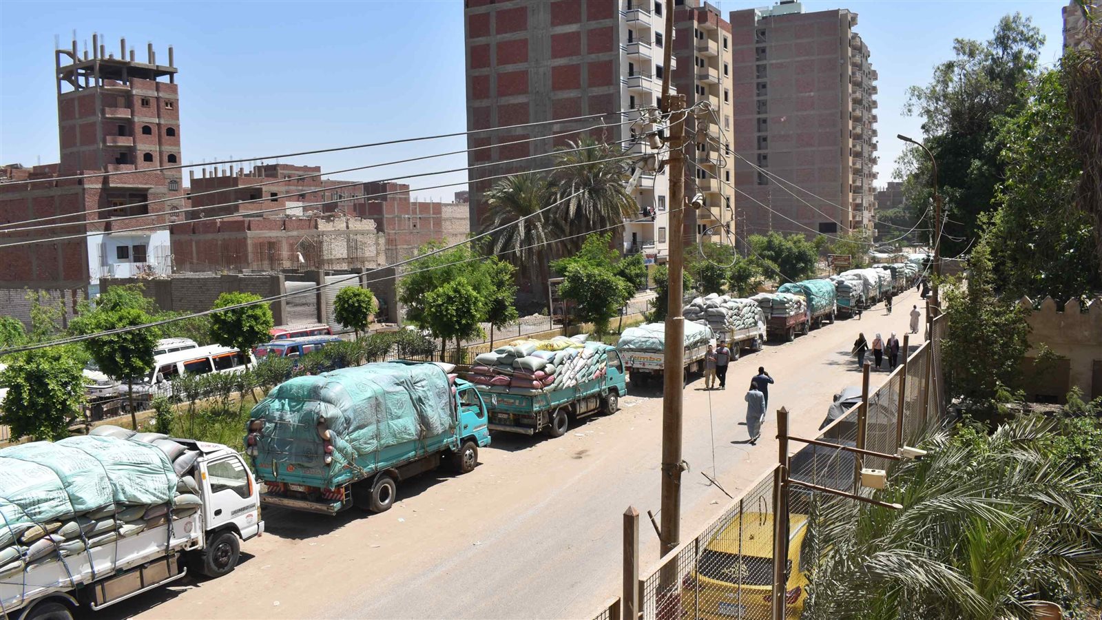 توريد القمح بالمنيا 