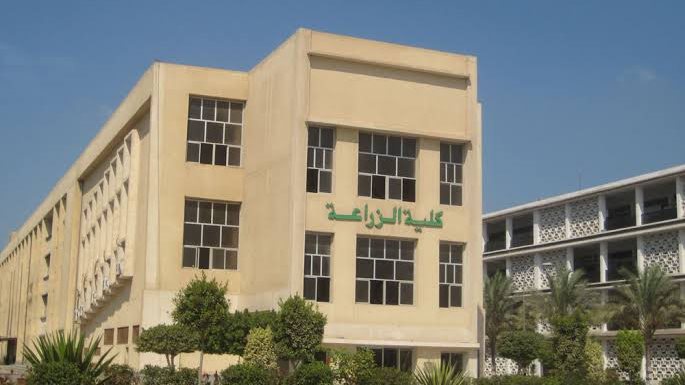 أرشيفية 