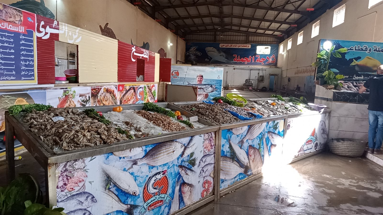 شادر السمك في المنوفية 