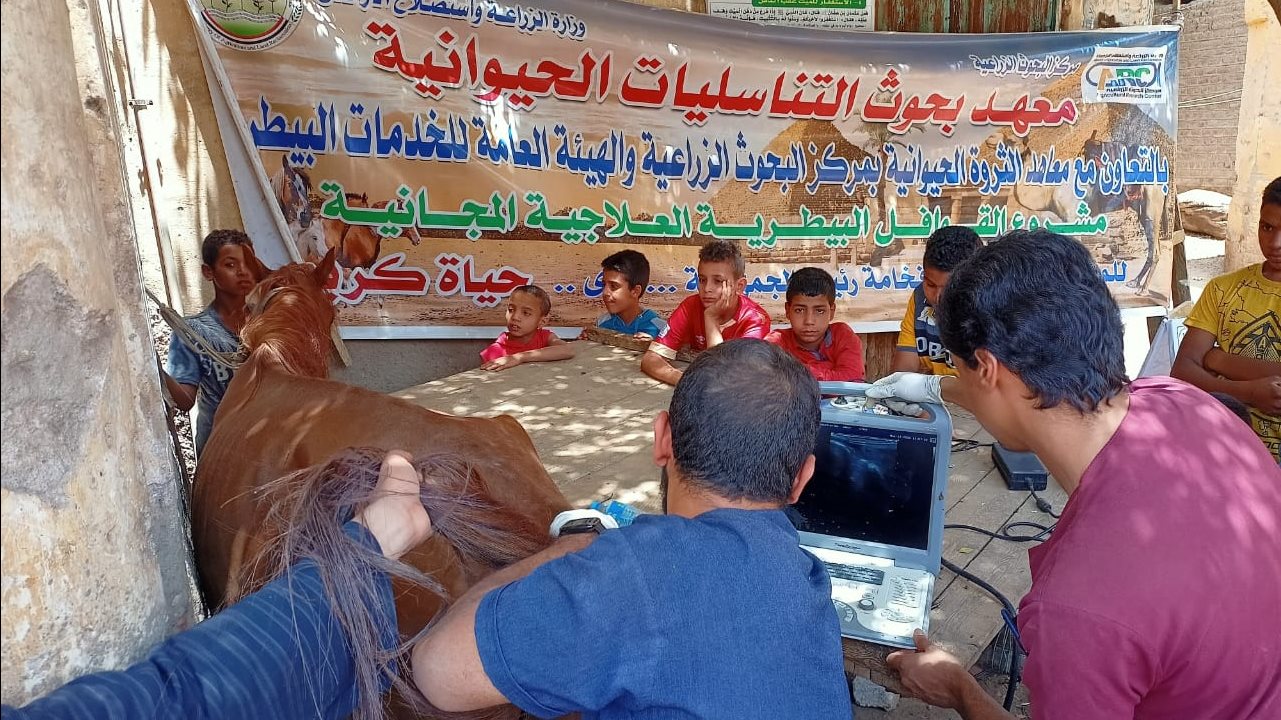مبادرة حياة كريمة 