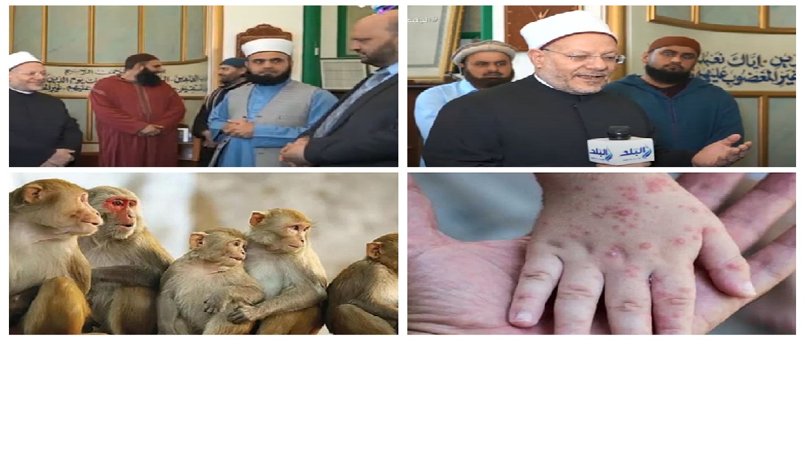 اخبار التوك شو