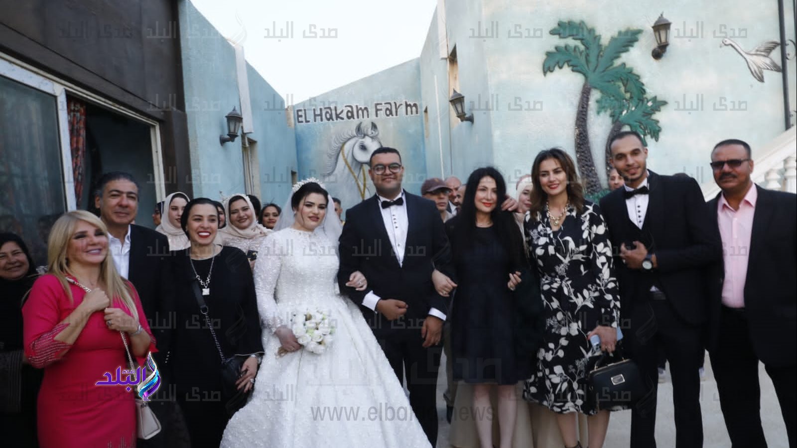 وزراء وسفراء ونجوم فن ومجتمع في حفل زفاف علي أبودشيش