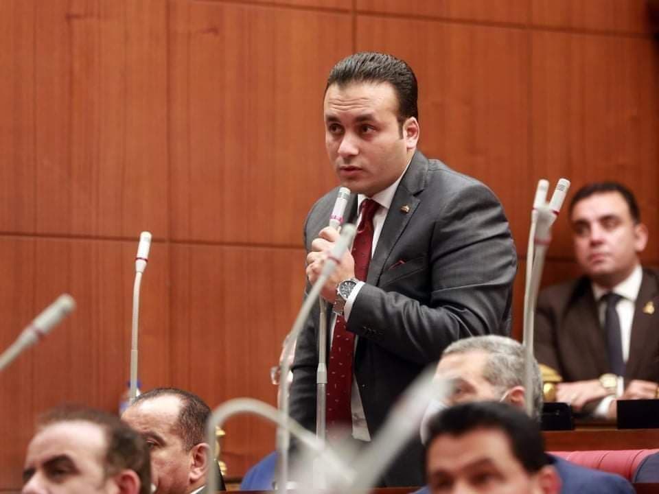 النائب عمرو فهمي، عضو مجلس الشيوخ
