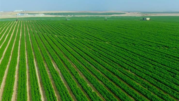  مشروع مستقبل مصر 