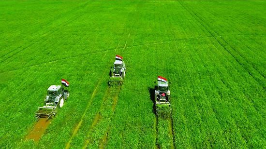 مستقبل مصر