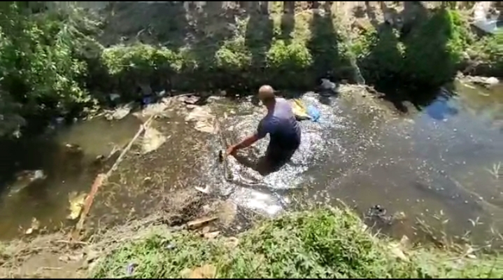 البحث عن تمساح المنوفية