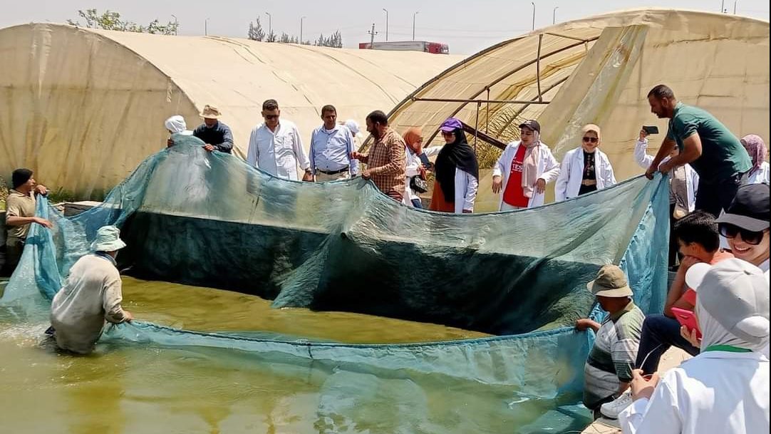 زيارة طلابية للمفرخ السمكي بالعباسية 