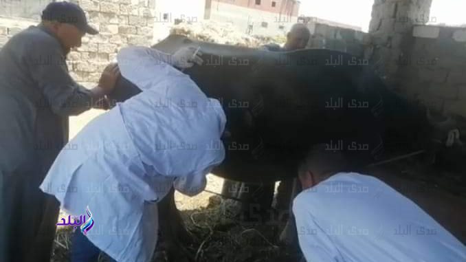 قافلة علاجية بيطرية