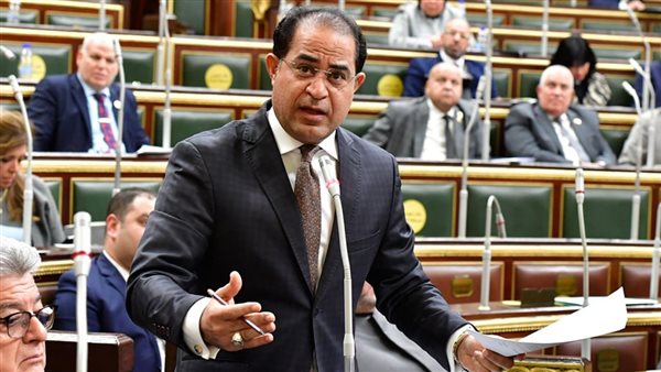 النائب الوفدى سليمان وهدان رئيس الهيئة البرلمانية لحزب الوفد