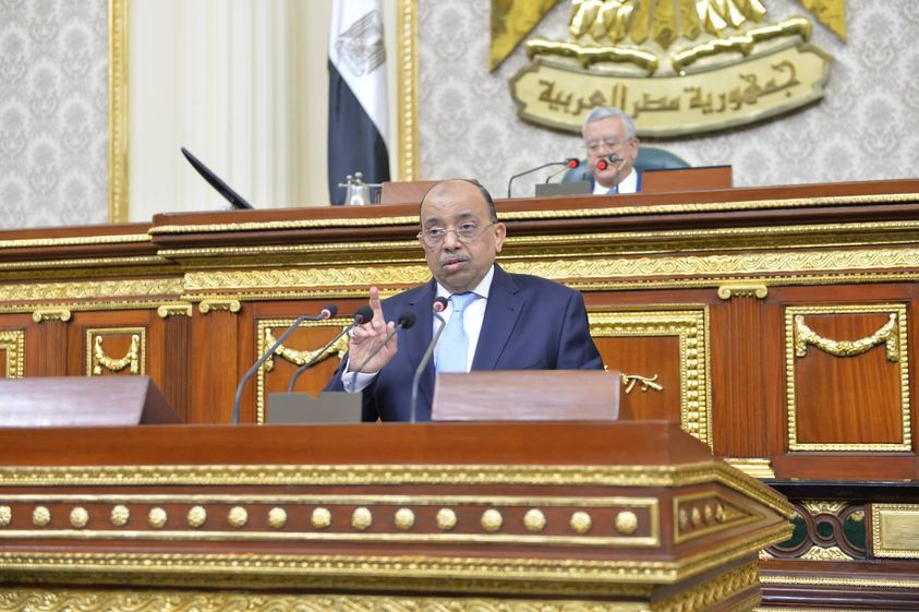 وزير التنمية المحلية 