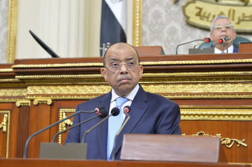 وزير التنمية المحلية 