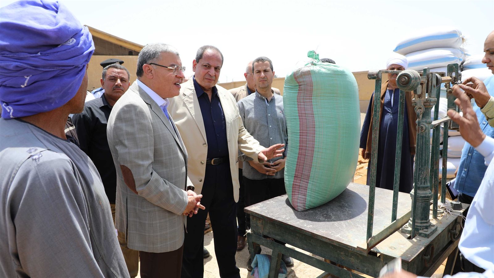 محافظ المنيا يتابع توريد محصول القمح  محافظ المنيا يتابع توريد محصول القمح