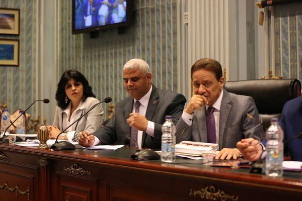 لجنة الثقافة والإعلام بمجلس النواب