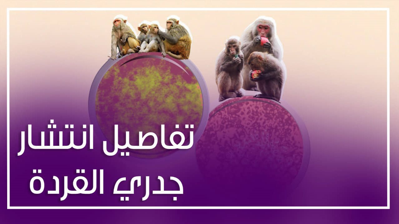 اعراض جدرى القرود تثير مخاوف حول العالم 