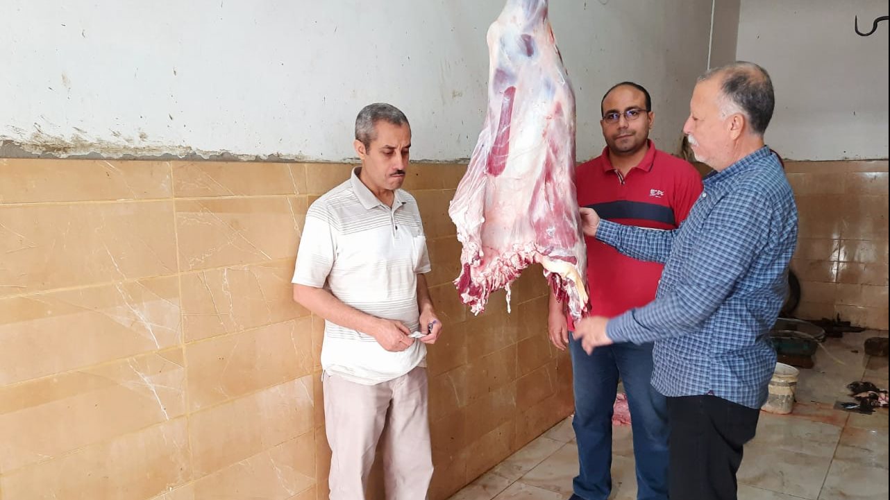 صوره من الحملات