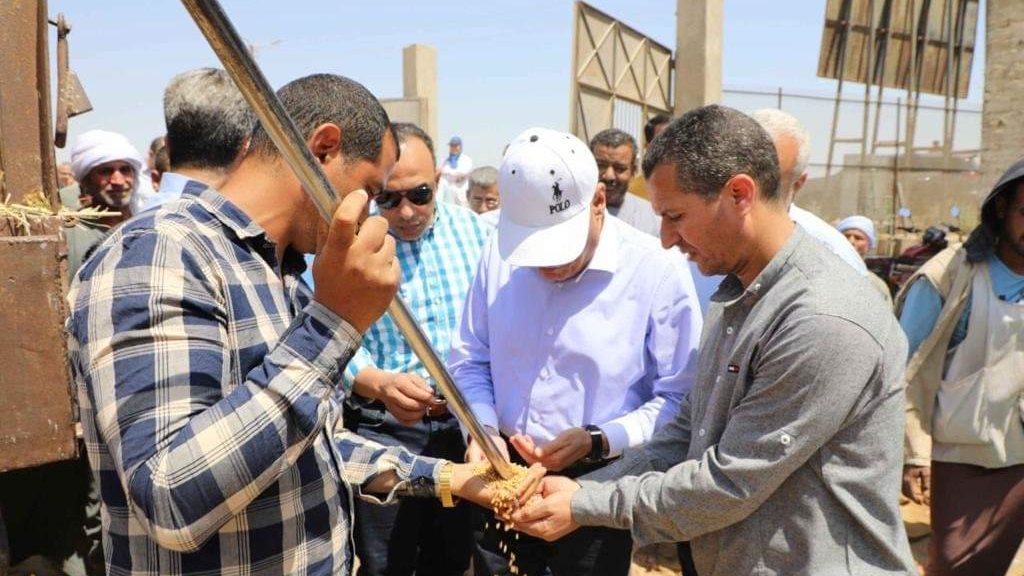 اللواء أسامة القاضي يتابع توريد القمح 