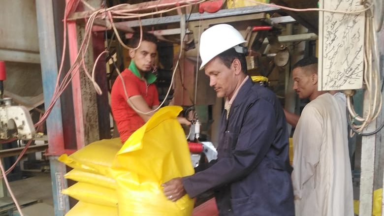 الزراعة: إعداد تقاوي القمح للموسم الجديد بمشروع مستقبل مصر ا