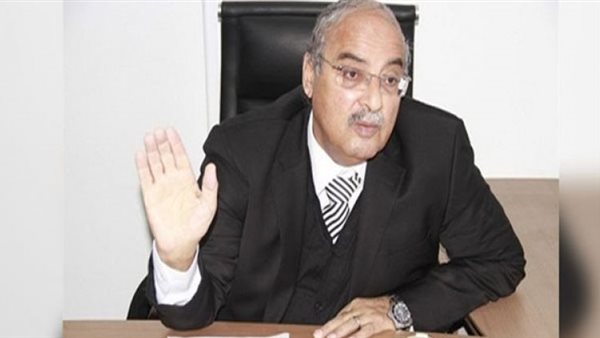 الأستاذ الدكتور مجدي علام