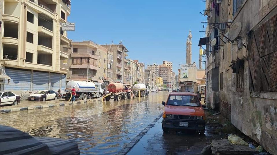 صورة حيه