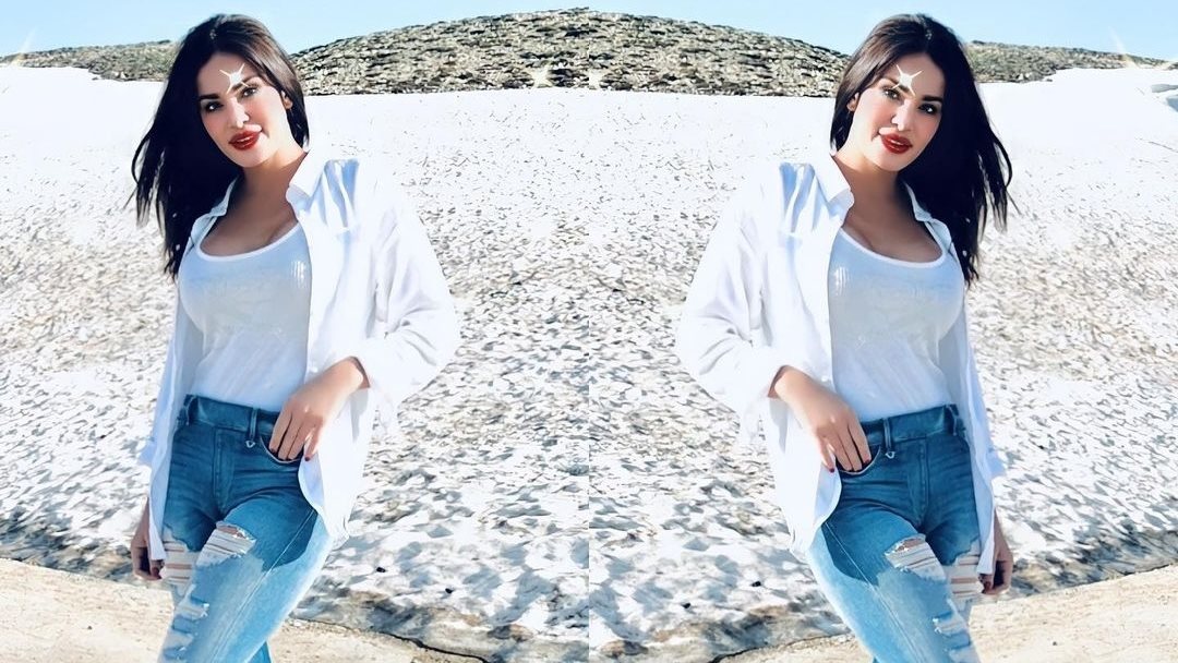 الفنانة دومينيك حوراني