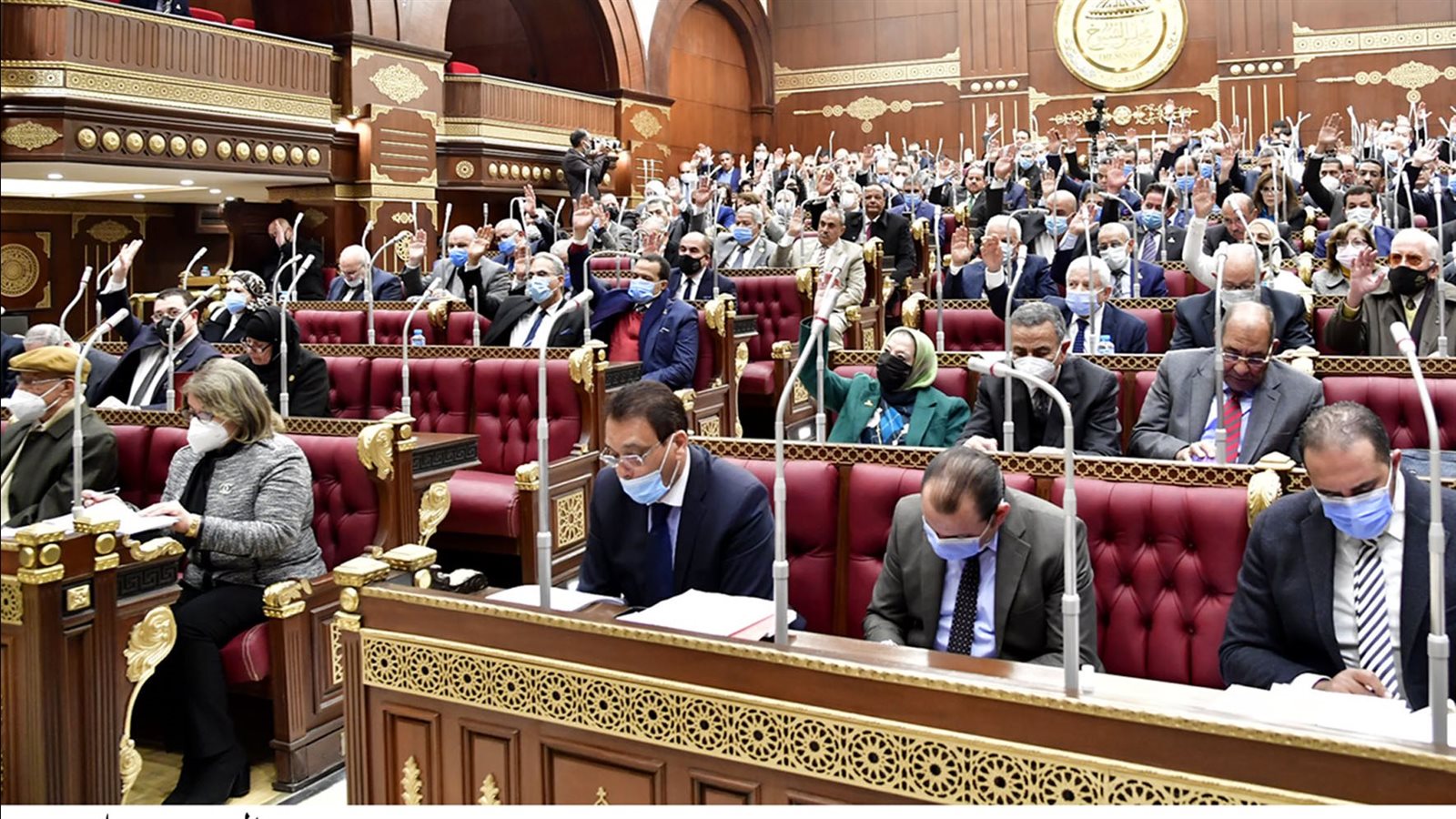 مجلس الشيوخ