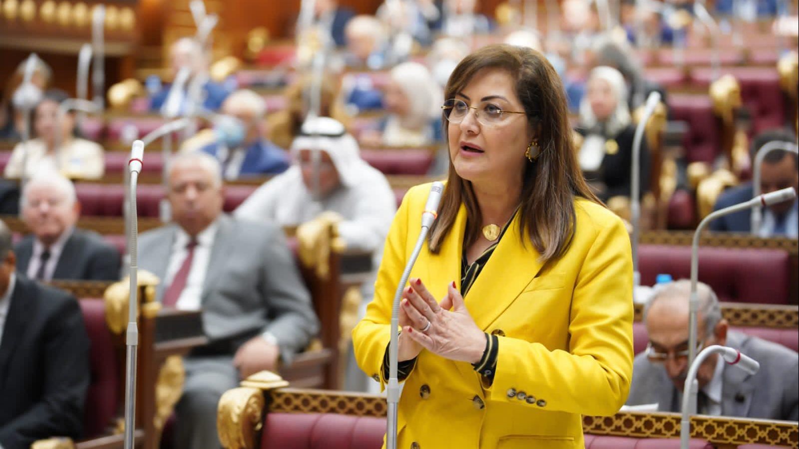  د.هالة السعيد وزيرة التخطيط والتنمية الإقتصادية