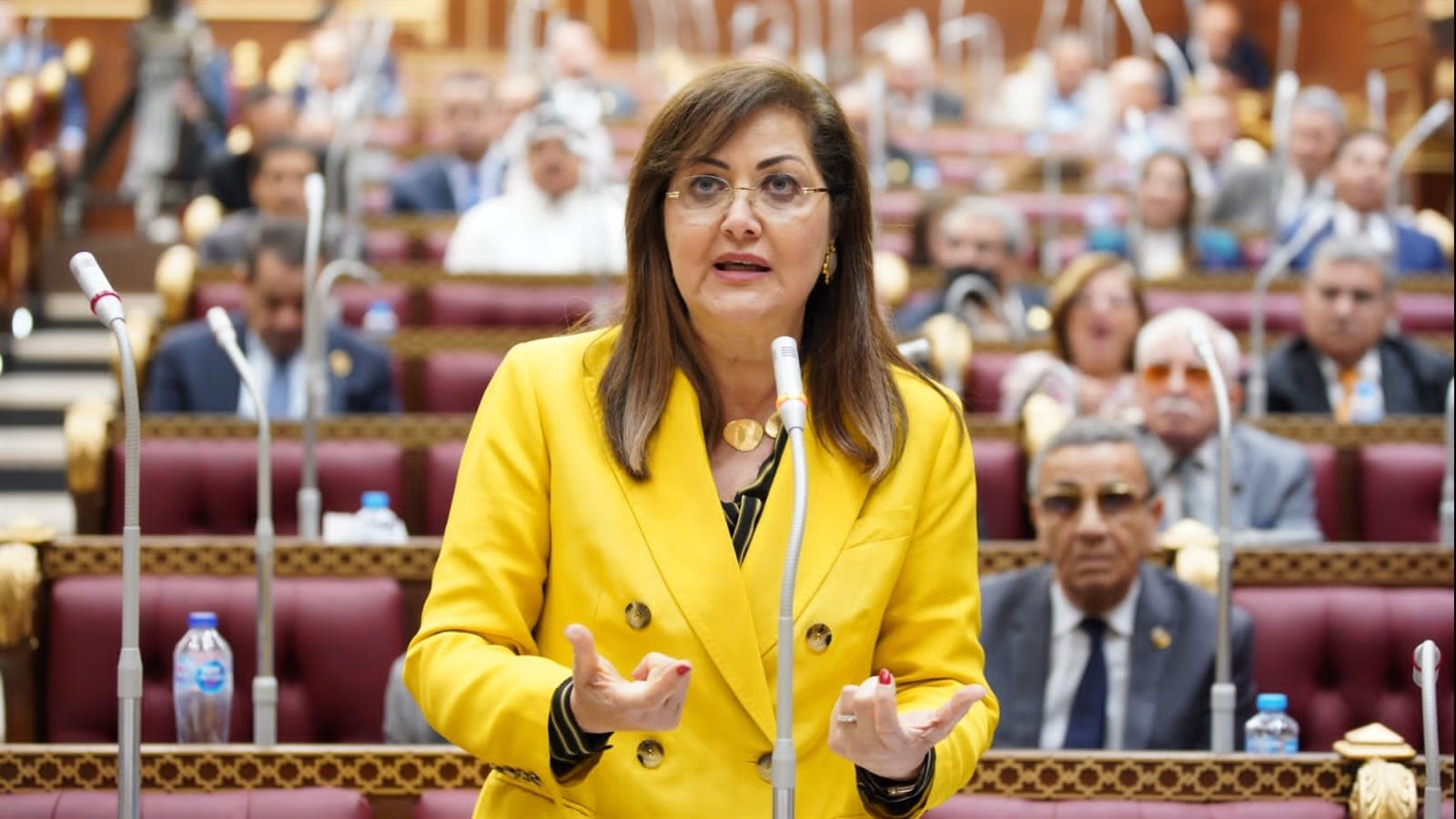 وزيرة التخطيط