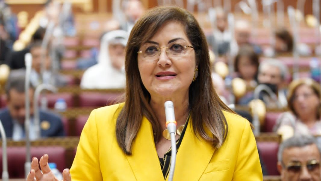 وزيرة التخطيط