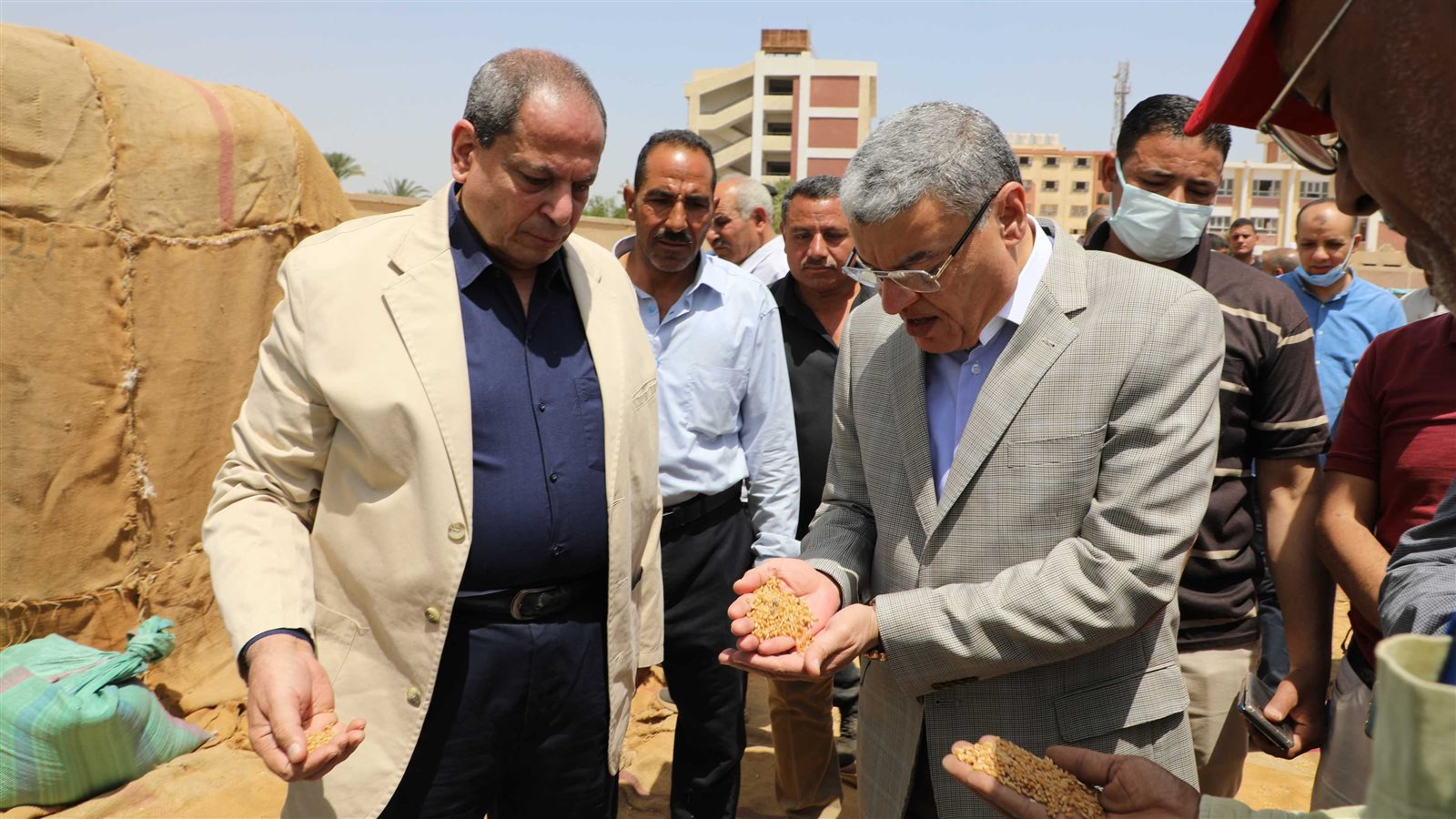 محافظ المنيا يتابع توريد محصول القمح 
