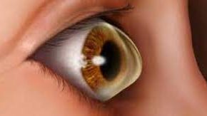 زراعة قرنية 