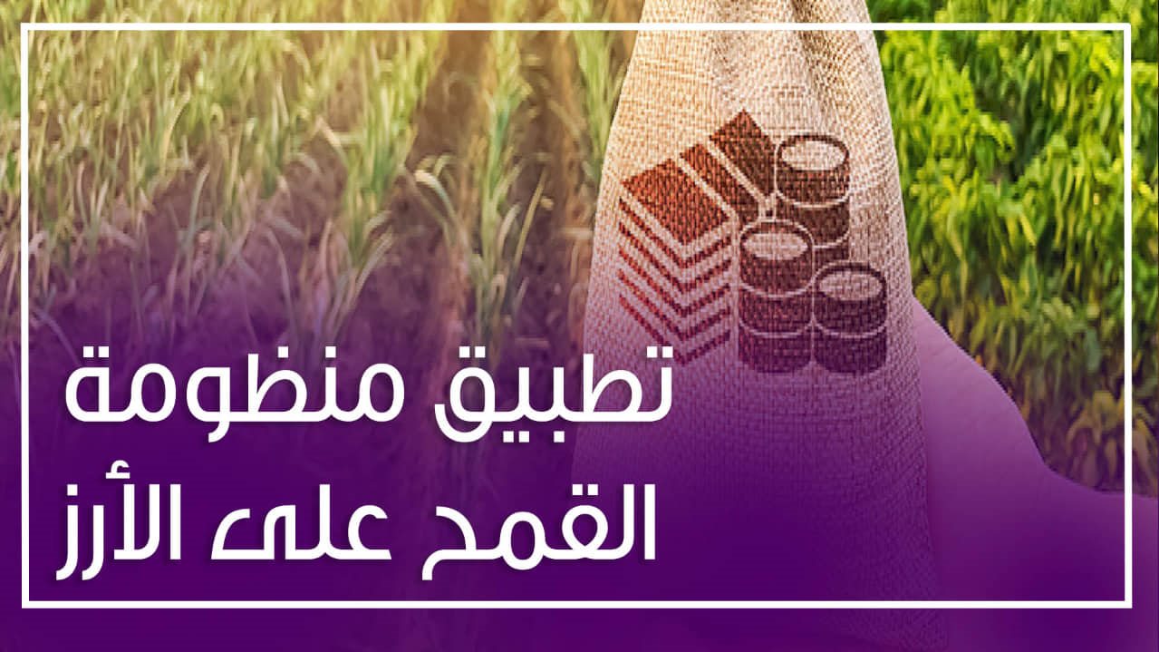 سعر الأرز