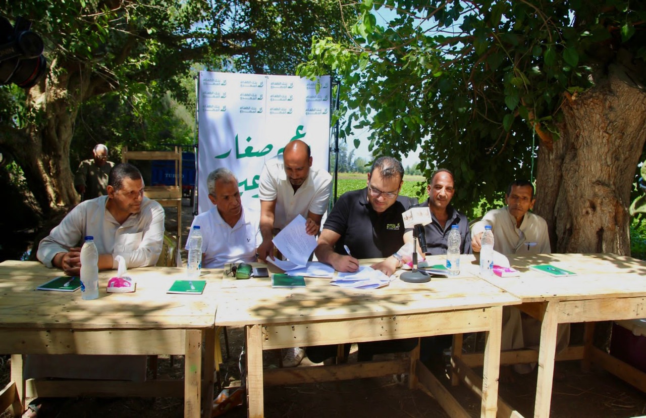 صورة من الجولة